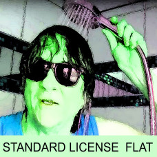 Standard Licenses - FLAT ABO