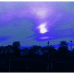 Flying Winter Birds (ID 441)