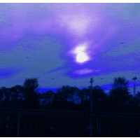 Flying Winter Birds (ID 441)