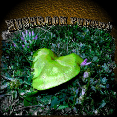 Mushroom Rock (ID 012)