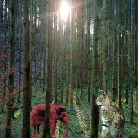 New Spirit New World - Pianoversion (ID 1418)