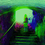 Nighlight (ID 202)